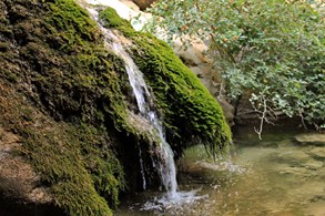 تنگ بغدیون روزنه ای به طبیعت بکر فارس