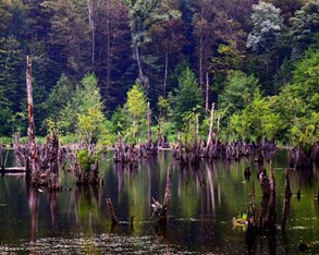 دریاچه ارواح تالابی بکر و مرموز