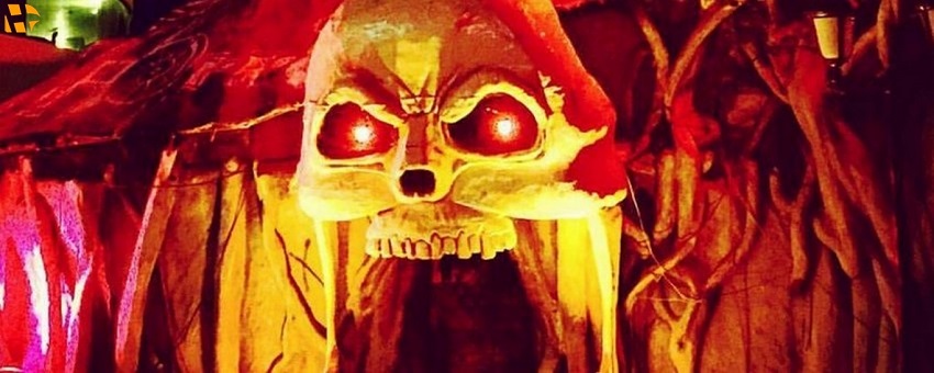 تفریحات تور کیش