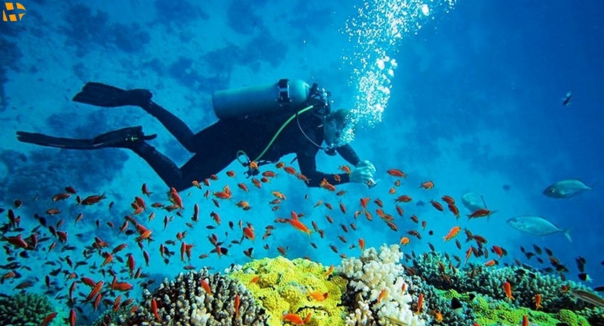 تفریحات تور کیش