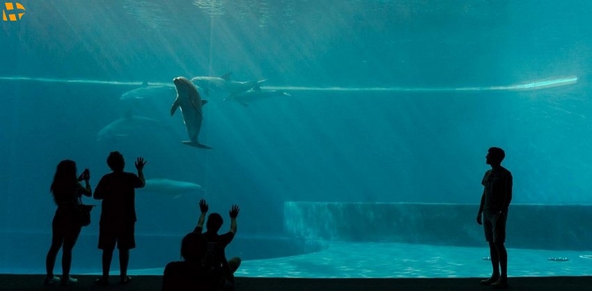 تفریحات تور کیش