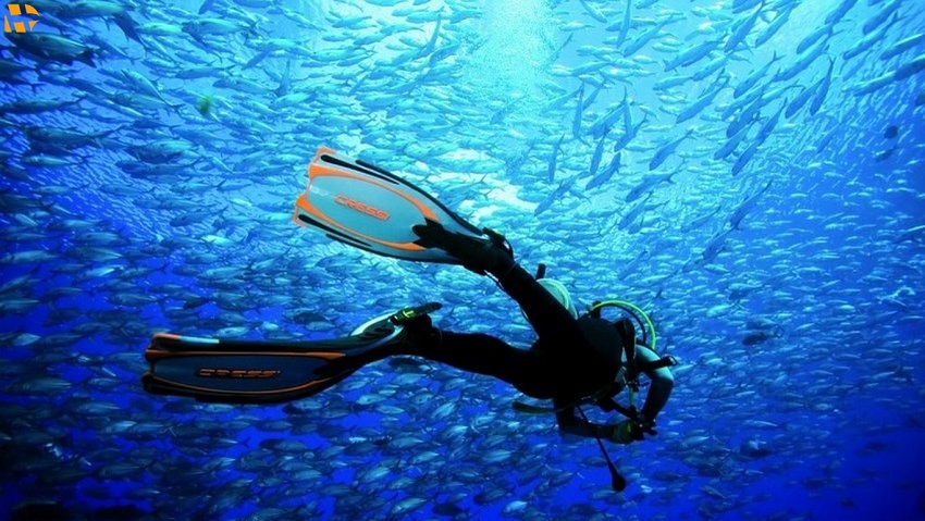 تفریحات تور کیش