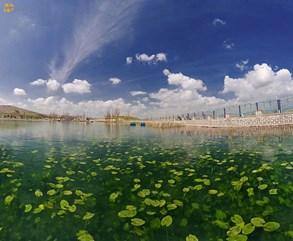 سراب نیلوفر جلوه ای دیگر از طبیعت چشم نواز ایران
