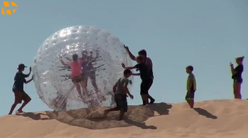 سافاری در کیش