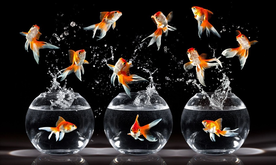 تورهای نوروزی