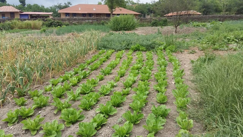 تور مزرعه گردشگری