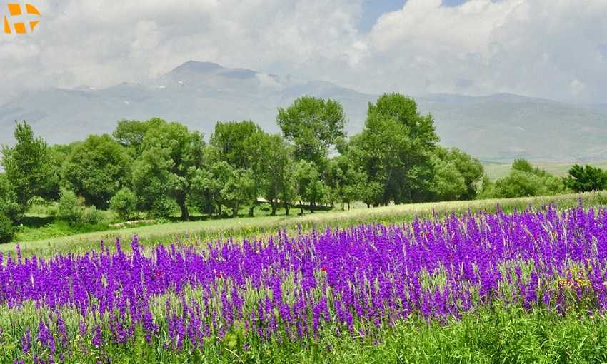 تور سرعین اردبیل