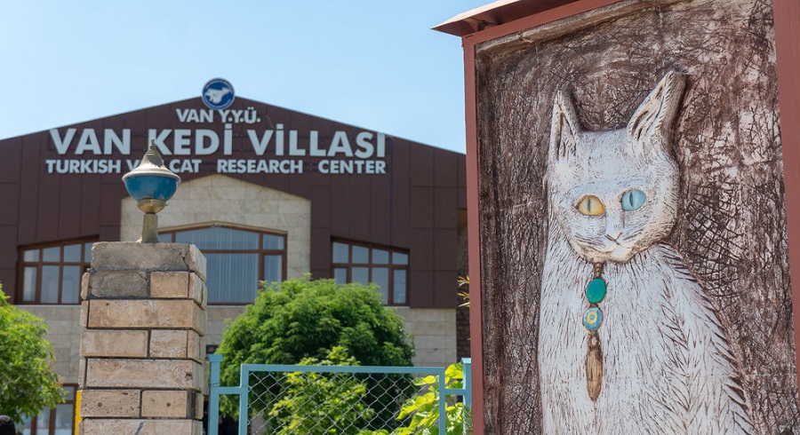 تور زمینی وان