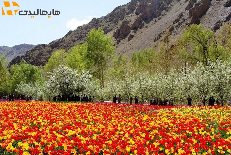 طبیعت چالوس