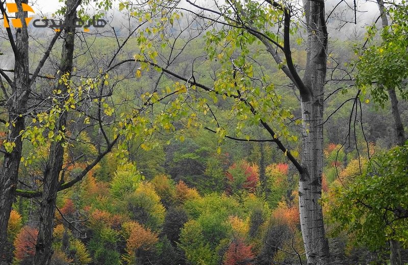 دیدنی های چالوس