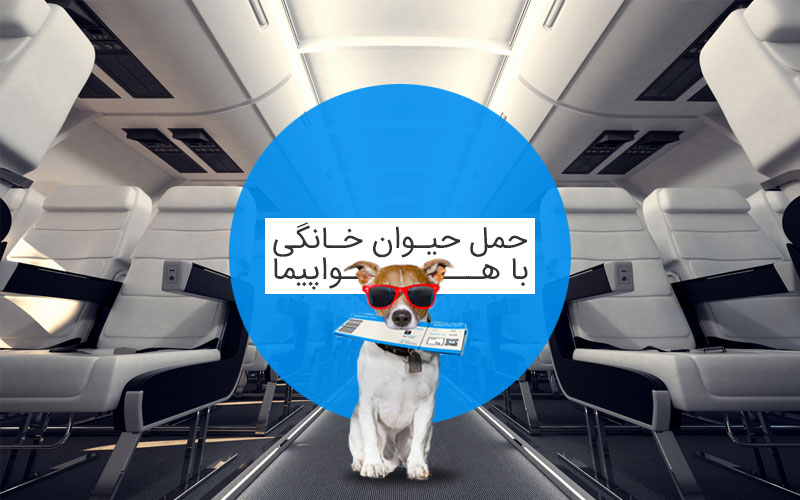شرایط حمل حیوان خانگی در پرواز