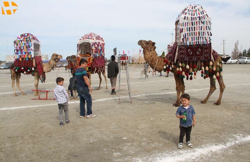 پارس سافاری کیش