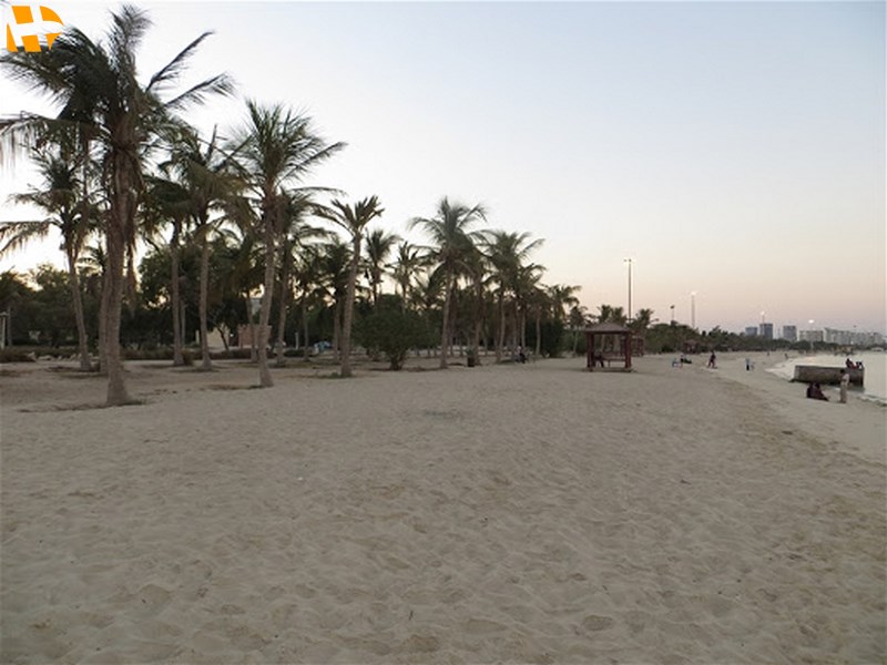 ساحل نارگیل