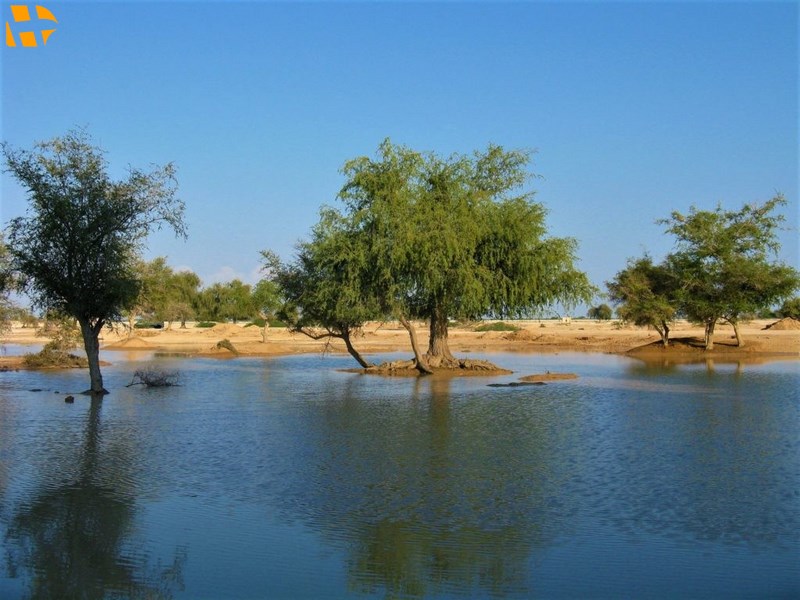 روستای باغو