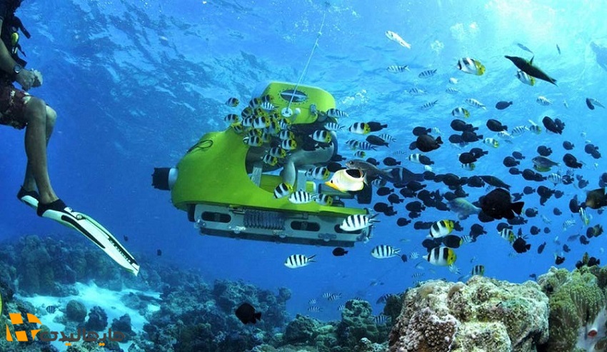 تفریحات کیش