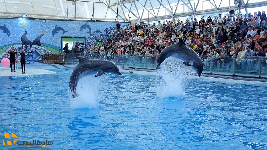 تفریحات کیش