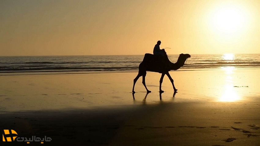 تفریحات کیش