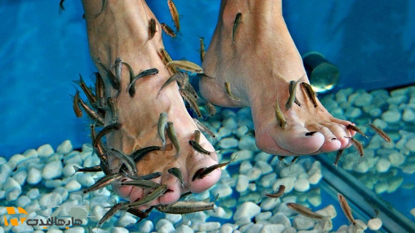 تفریحات کیش