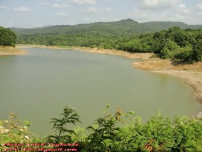 تور یک روزه جنگلنوردی زیولا