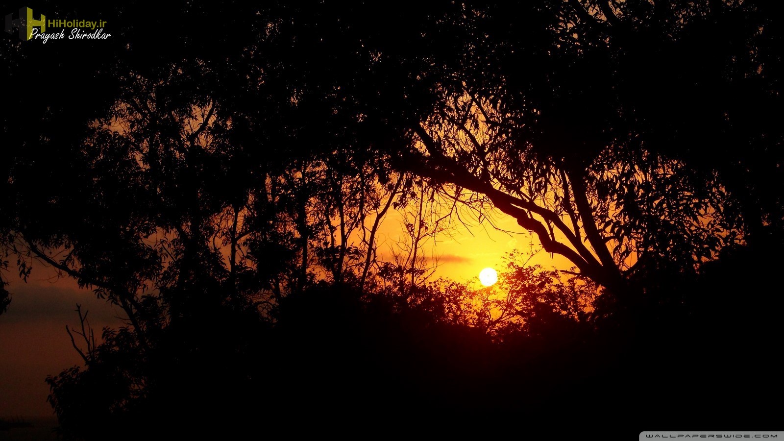 تور هندوستان(بمبئی+ گوا)- ویژه نوروز 1405-پرواز ایران ایر