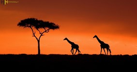 Kenya