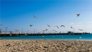 تور کیش از تهران 3 شب و 4 روز