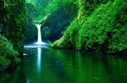 تور ترکیبی 4 شب کوالالامپور 3 شب سنگاپور