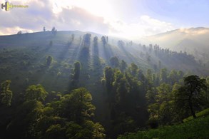 تور ماسال و ساحل و جنگل گیسوم
