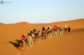 تور گروهی کویر مصر