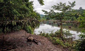 تور تنگه دار آمازون ایران