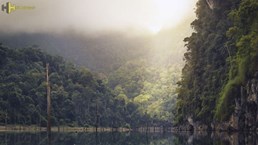 عکس Pattaya
