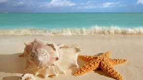 تور 3 شب و 4 روز قشم