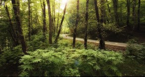 تور رامسر 1402