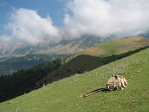 تور جنگل ابر و بسطام با قطار