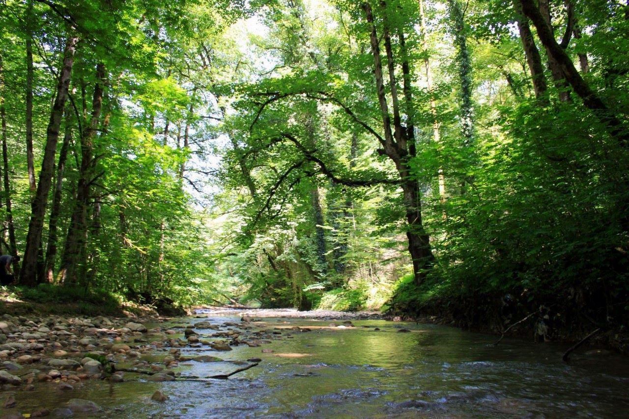 تور قطار شمال سوادکوه ورسک و برنجستانک