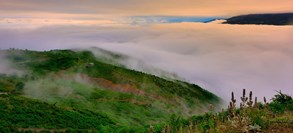 تور طبیعت گردی