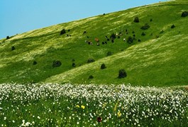 سرعین اردبیل