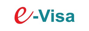 ویزای الکترونیکی